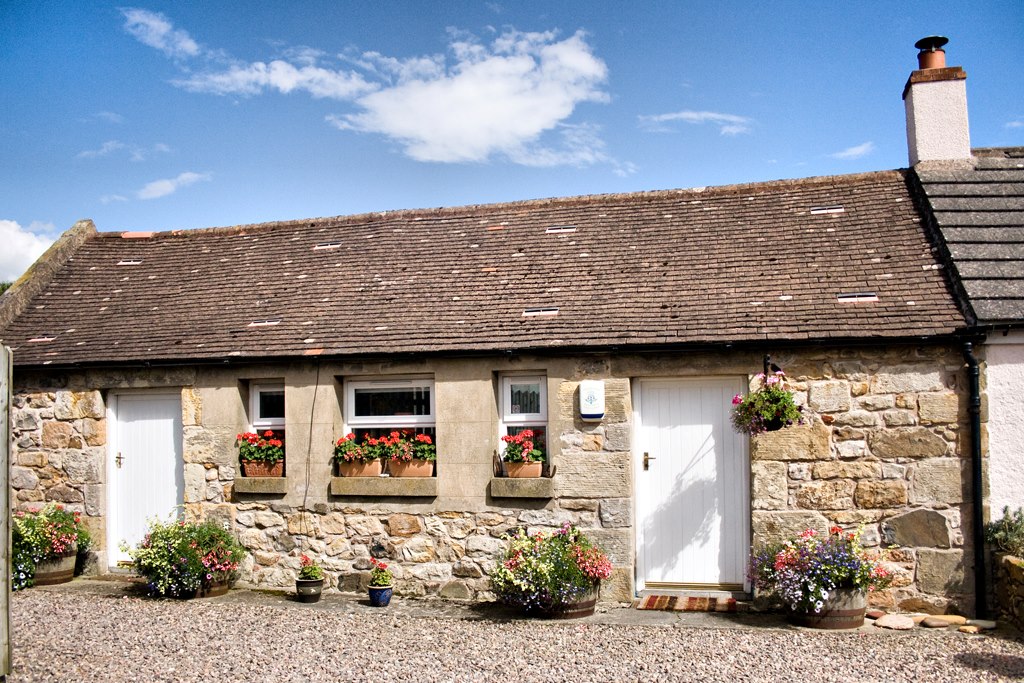 Old Whitehill  B&B